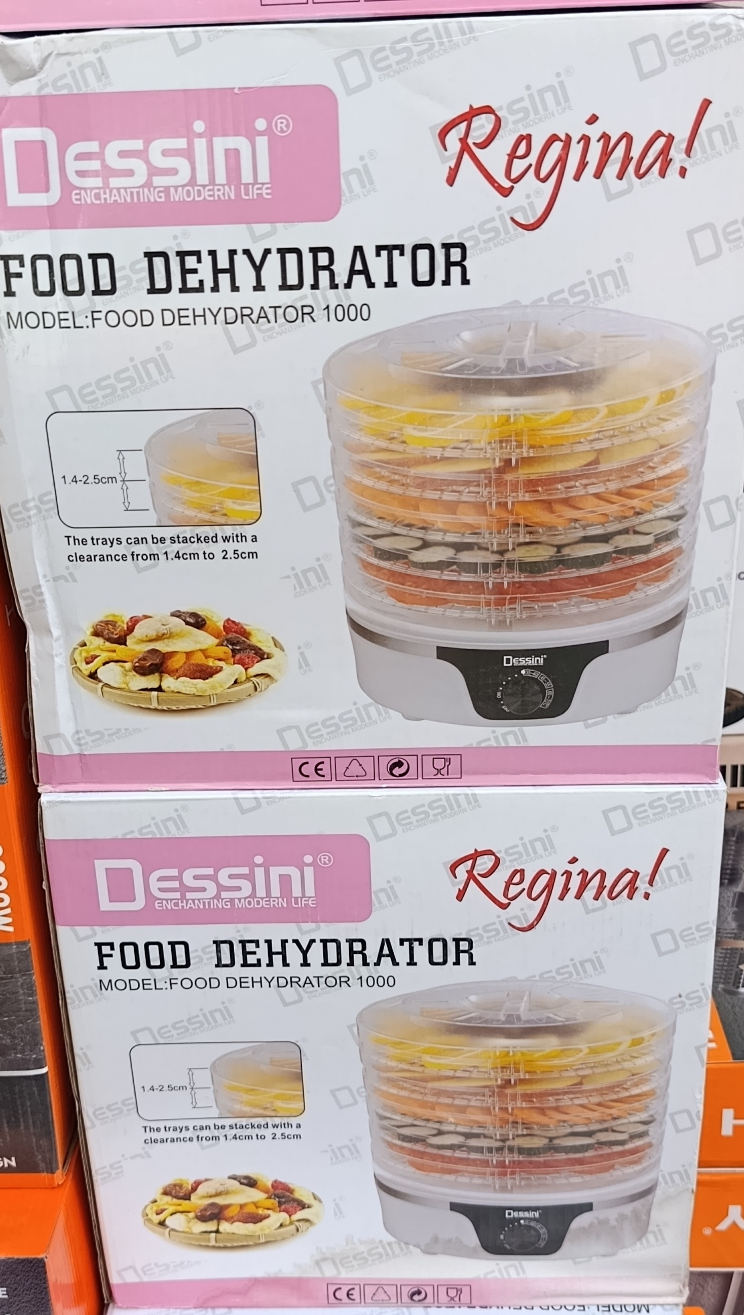 میوه خشک کن دسینی (Dessini) مدل 1000